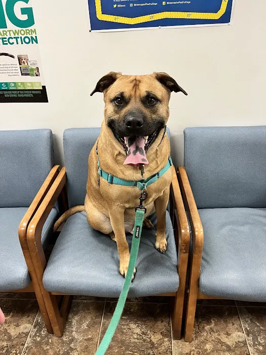 CoTwins Veterinary Care Picture 7