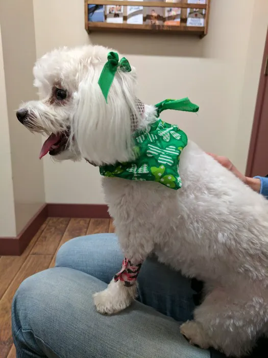Hometown Veterinary Services Picture 6