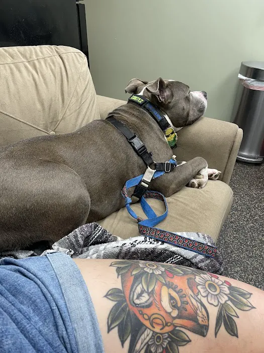For Paws Blue Cross Animal Hospital Picture 4