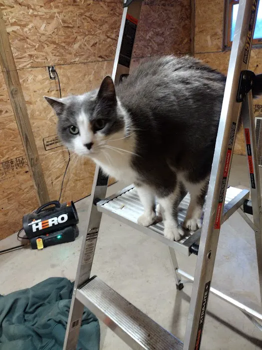 Stark County Veterinary Emergency Clinic Picture 9