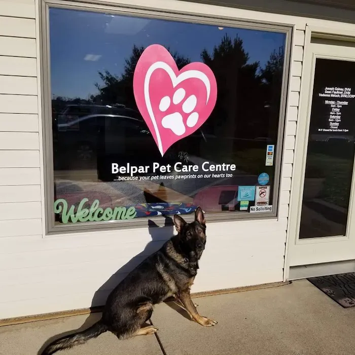 Belpar Pet Care Centre Picture 5