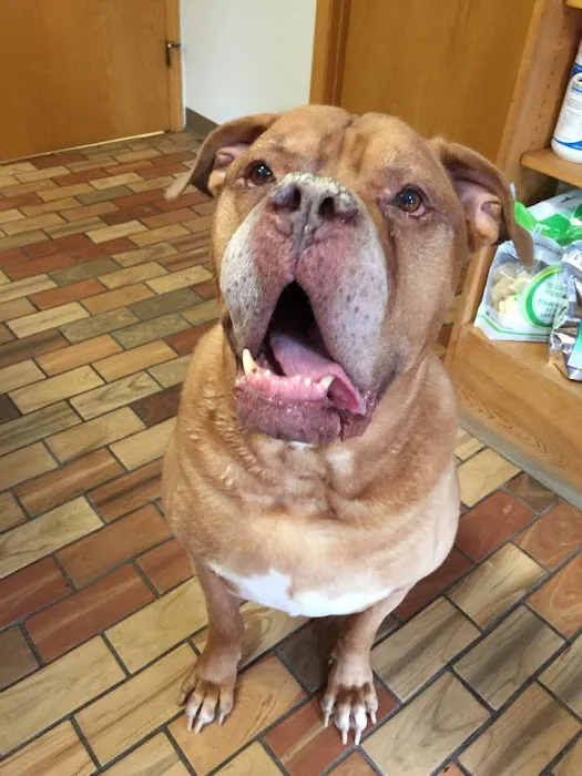 Belpar Pet Care Centre Picture 1