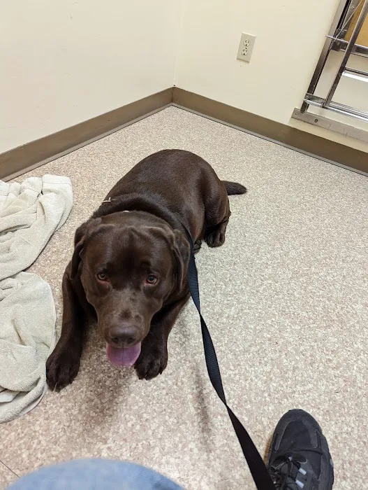 Belpar Pet Care Centre Picture 7