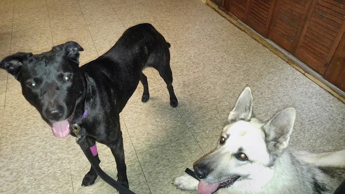 Hartville Vet Clinic Picture 8