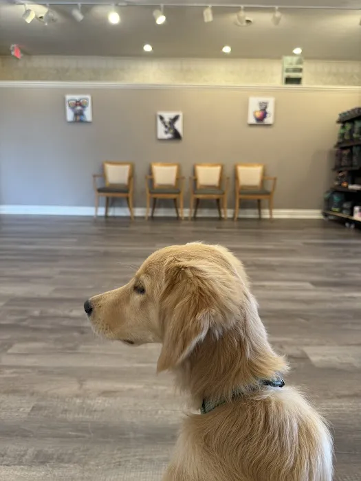 New Leaf Veterinary Clinic Picture 4