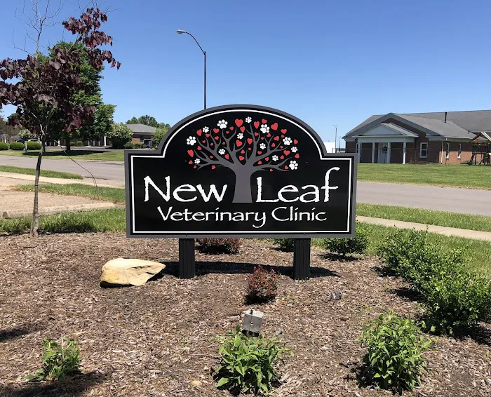 New Leaf Veterinary Clinic Picture 10