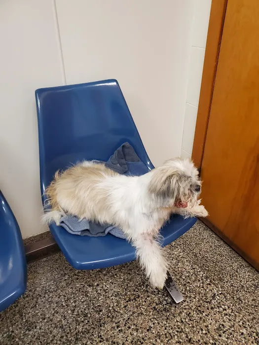 Lake Animal Hospital Picture 8