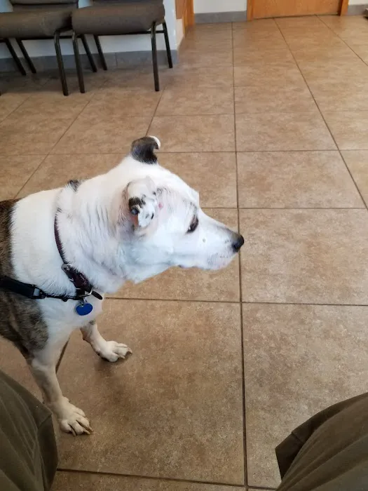 Brightwood Animal Hospital Picture 9