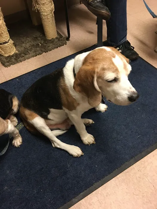 Chardon Veterinary Hospital Picture 1