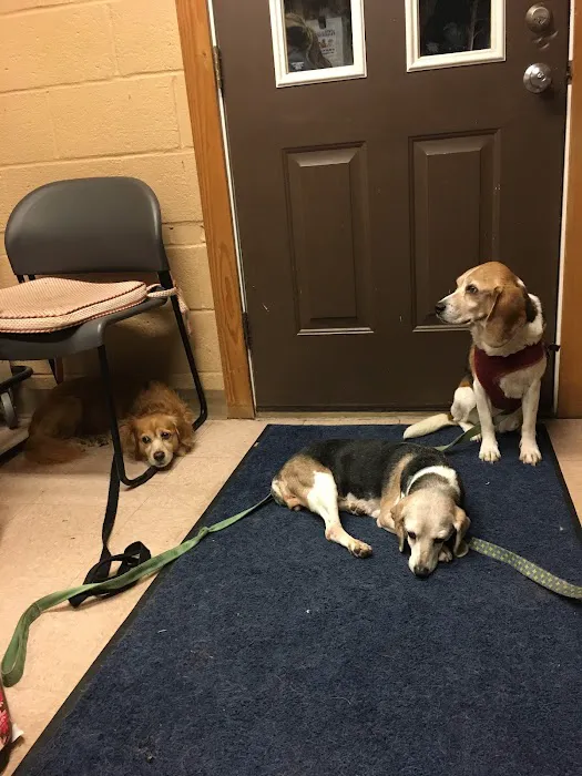 Chardon Veterinary Hospital Picture 2