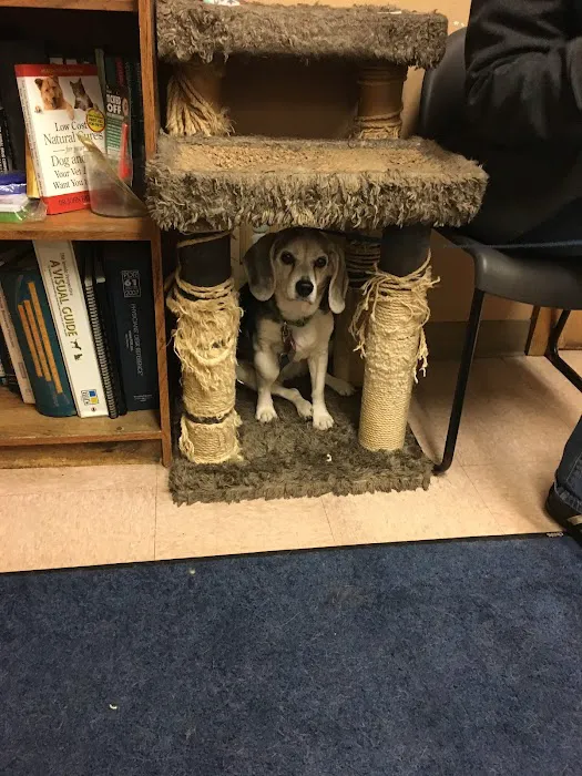 Chardon Veterinary Hospital Picture 4