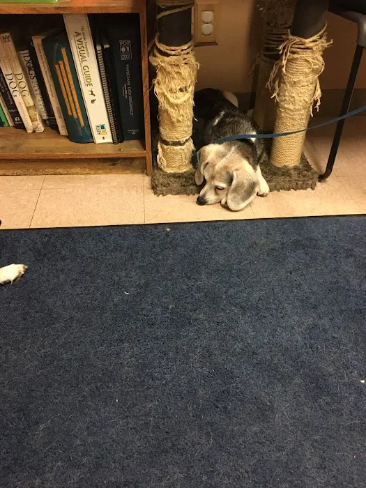 Chardon Veterinary Hospital Picture 3