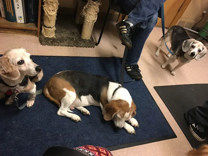 Chardon Veterinary Hospital Picture 5