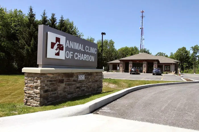 Animal Clinic of Chardon Picture 1