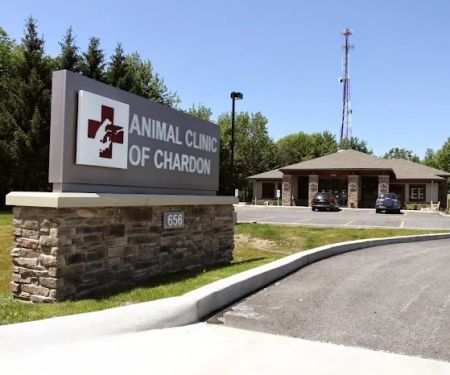 Animal Clinic of Chardon