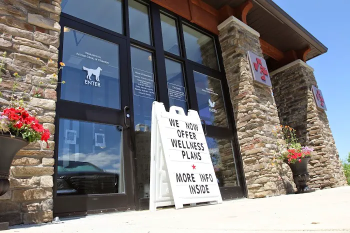 Animal Clinic of Chardon Picture 6
