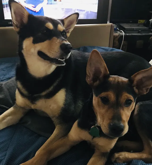 Family Companion Animal Care Center Picture 3