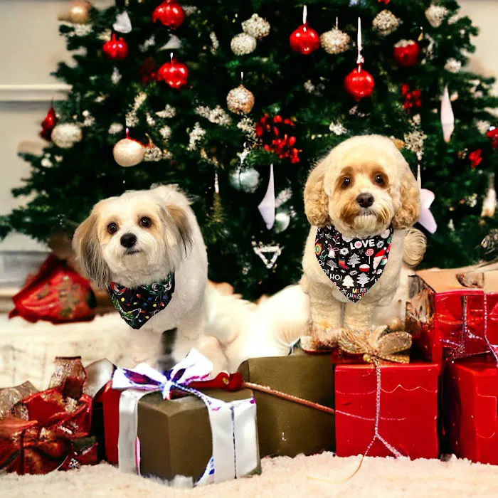 Family Companion Animal Care Center Picture 7