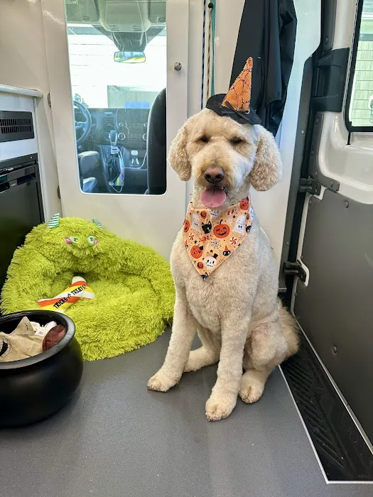Family Companion Animal Care Center Picture 10