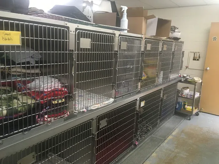 Lake Shore Animal Hospital Picture 2