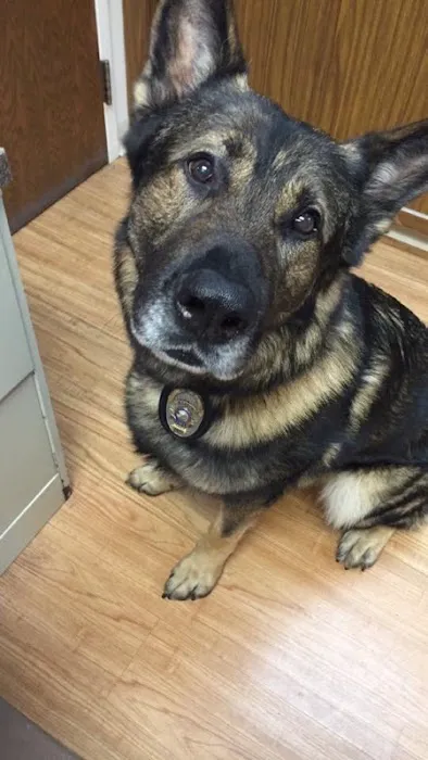 Lake Shore Animal Hospital Picture 9