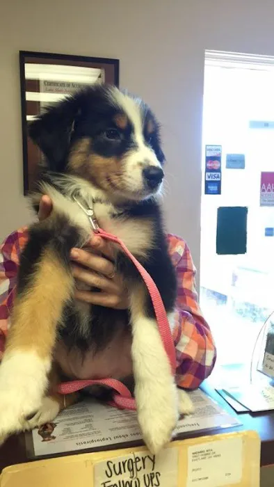 Lake Shore Animal Hospital Picture 10