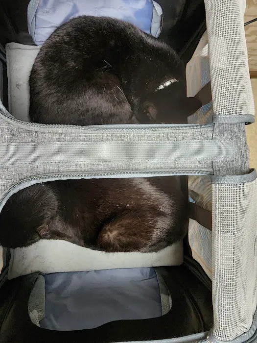Tyler Animal Clinic Picture 6