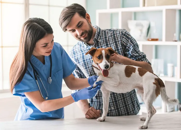 Tyler Animal Clinic Picture 10