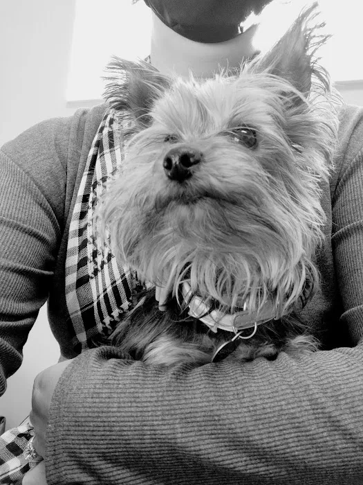 Kirtland Veterinary Hospital Picture 2
