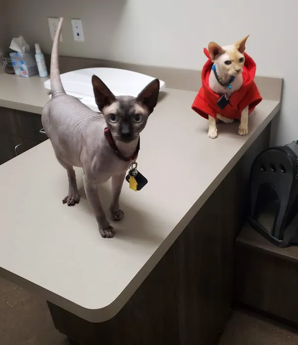 Kirtland Veterinary Hospital Picture 5