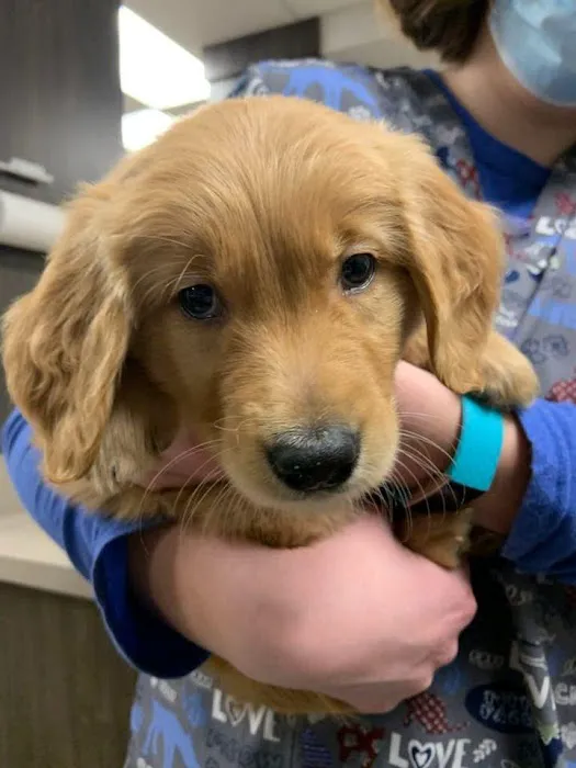 Kirtland Veterinary Hospital Picture 8