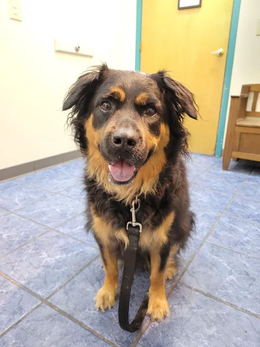 Milton Veterinary Hospital Picture 2