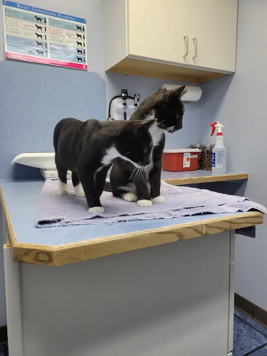 Milton Veterinary Hospital Picture 4