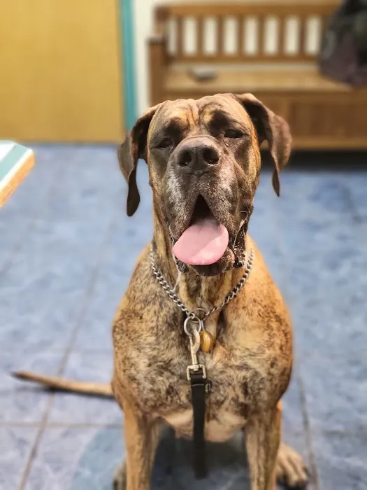 Milton Veterinary Hospital Picture 5