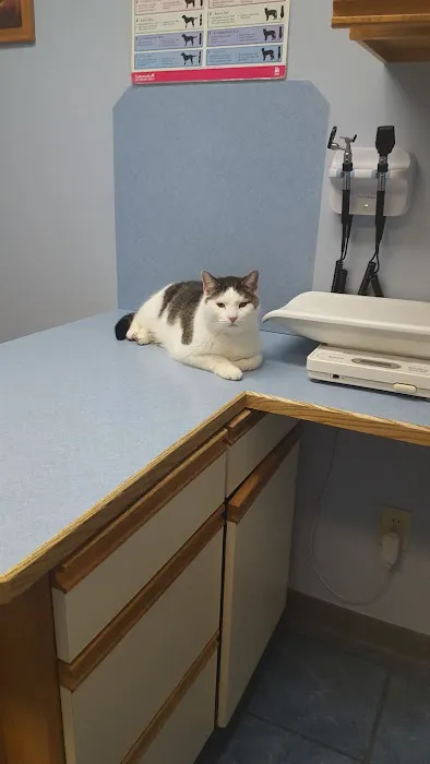 Milton Veterinary Hospital Picture 7