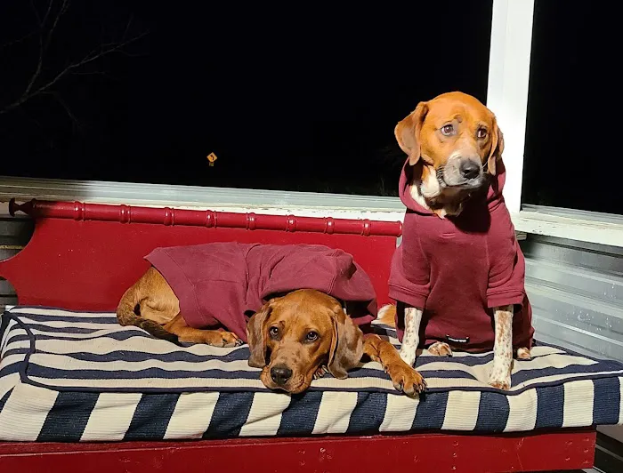 Milton Veterinary Hospital Picture 9