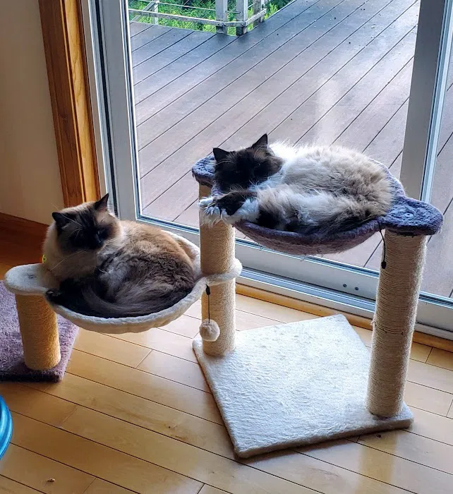 Milton Veterinary Hospital Picture 10