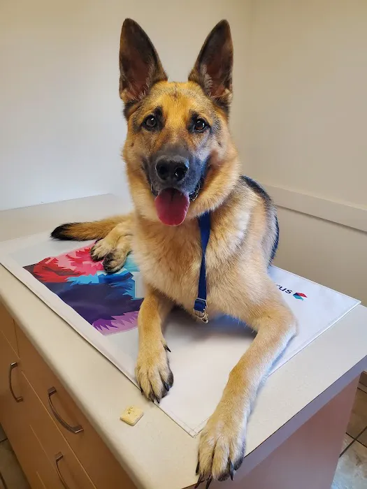 Petit Brook Veterinary Clinic Picture 1