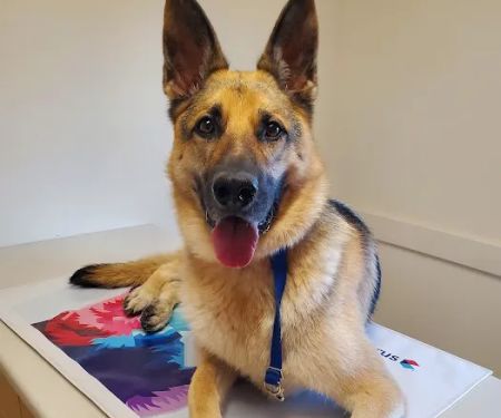 Petit Brook Veterinary Clinic