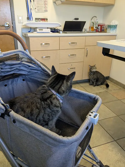 Petit Brook Veterinary Clinic Picture 4
