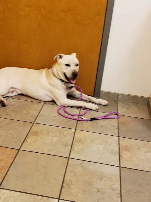 Petit Brook Veterinary Clinic Picture 6