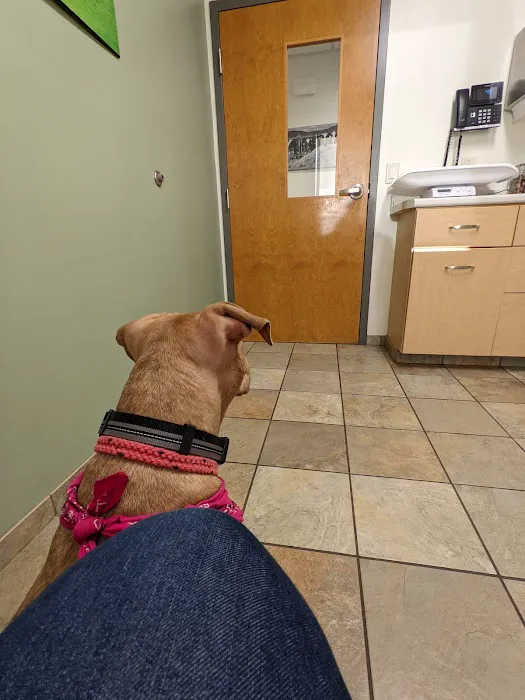 Petit Brook Veterinary Clinic Picture 7