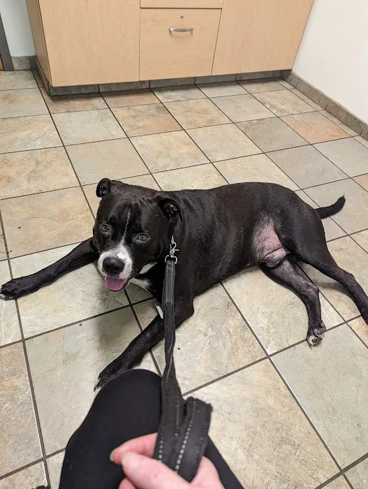 Petit Brook Veterinary Clinic Picture 10