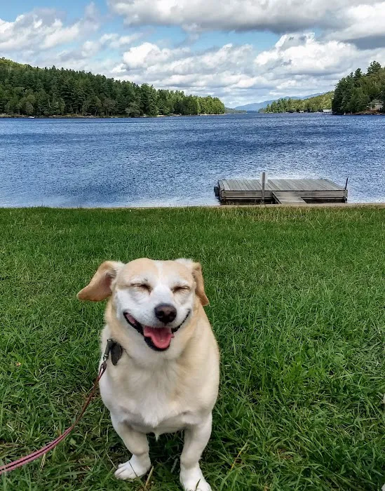Lakeside Veterinary Clinic Picture 4