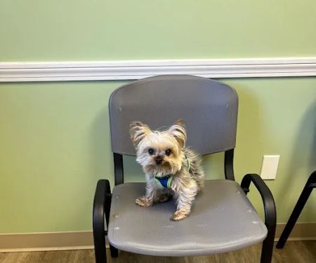Animal Health Center