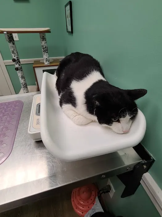 Animal Health Center Picture 8