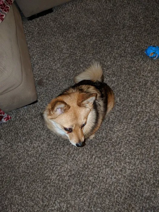 Animal Health Center Picture 9