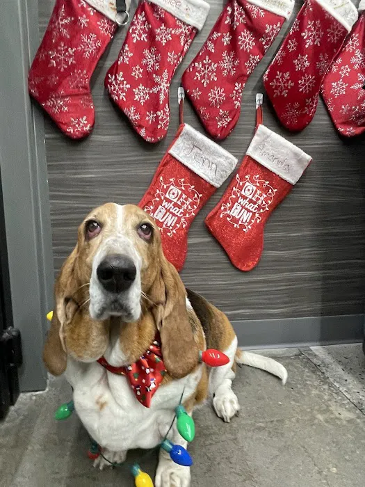 Vetco Total Care - Great Falls Veterinary Hospital Picture 3