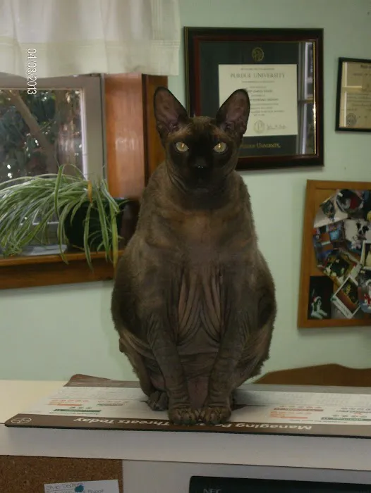 Vetco Total Care - Great Falls Veterinary Hospital Picture 8