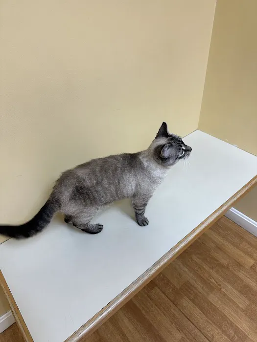 Central Park Veterinary Clinic Picture 4